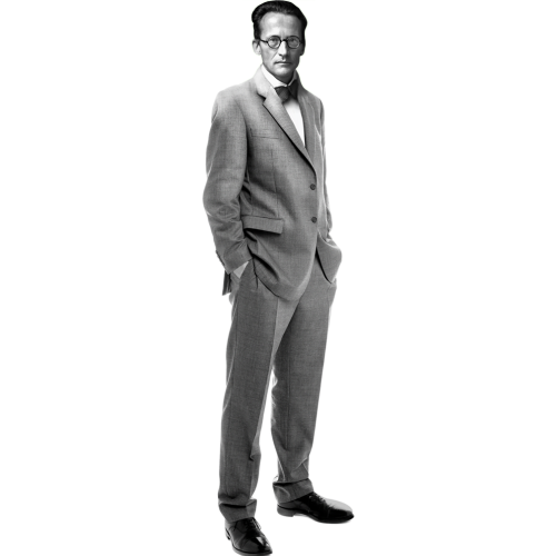 Erwin Schrodinger Physicist Quantum Theory Cardboard Cutout Erwin Schrodinger Physicist Quantum Theory Cardboard Cutout