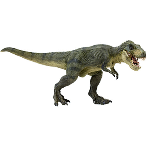Tyrannosaurus Rex Dinosaur Cardboard Cutout