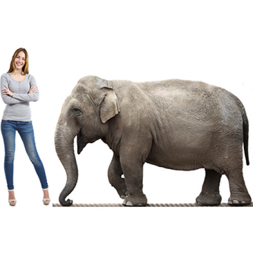 Elephant On Rope Cardboard Cutout