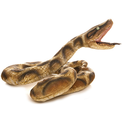 Snake Cardboard Cutout