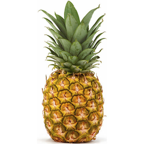 Pineapple Cardboard Cutout
