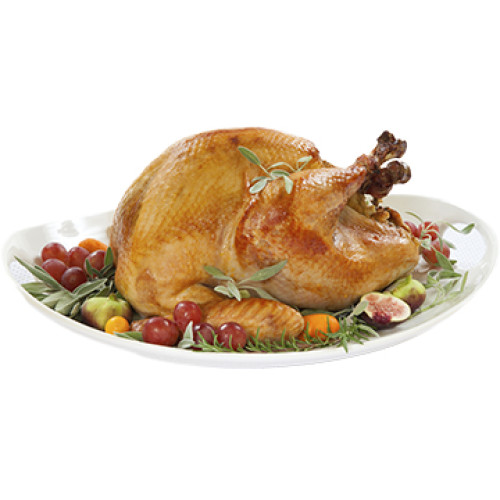 Roasted Turkey Cardboard Cutout