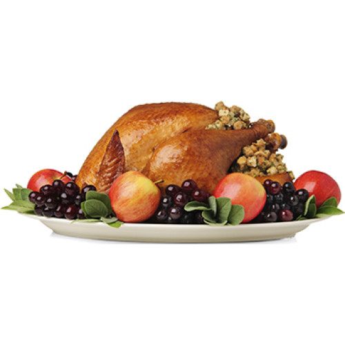 Thanks Giving Turkey Cardboard Cutout