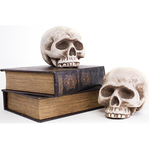 Books and Halloween Skulls Cardboard Cutout