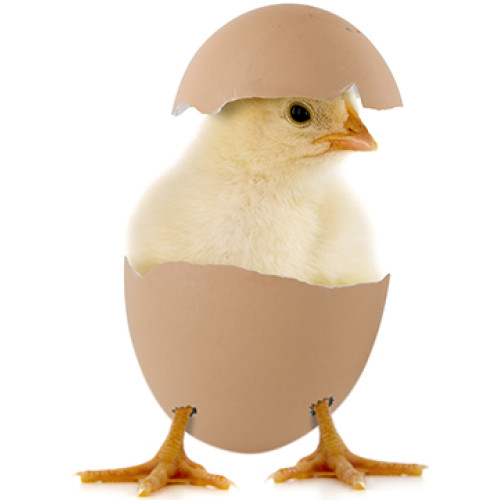 Happy Easter Cardboard Cutout