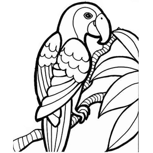 Colorful-Parrot Cardboard Coloring Cutout