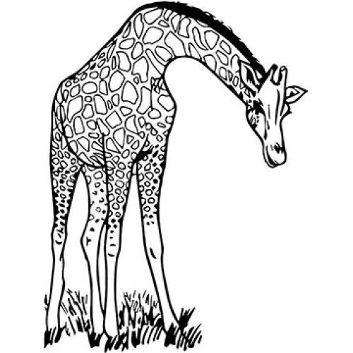 Giraffe Cardboard Coloring Cutout