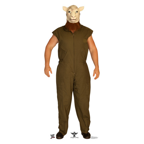 Erick Rowan WWE Cardboard Cutout