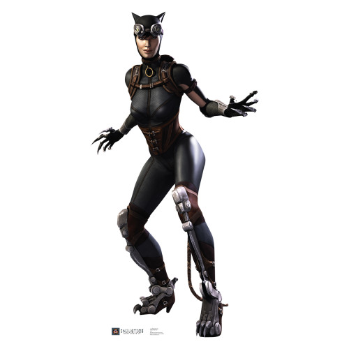 Catwoman Injustice DC Comics Game Cardboard Cutout Catwoman Injustice DC Comics Game Cardboard Cutout