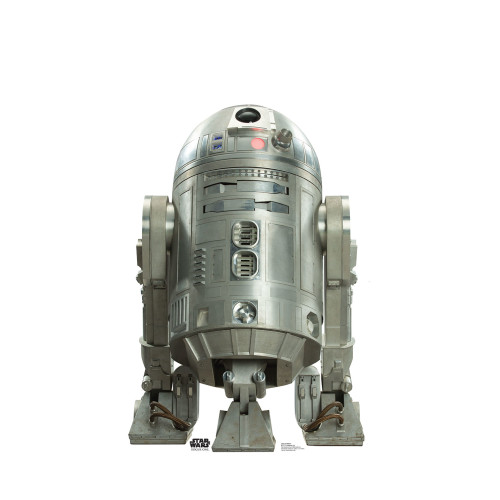 R2-BHD (Rogue One) Cardboard Cutout