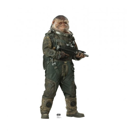 Bistan (Rogue One) Cardboard Cutout Bistan (Rogue One) Cardboard Cutout