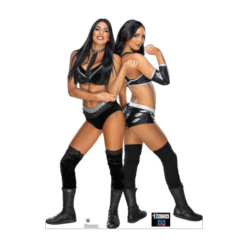 IIconics WWE Cardboard Cutout