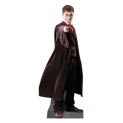 Harry Potter Cardboard Cutout