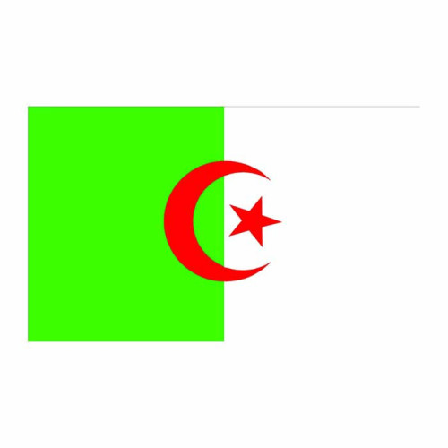 Algeria Flag Cardboard Cutout Algeria Flag Cardboard Cutout