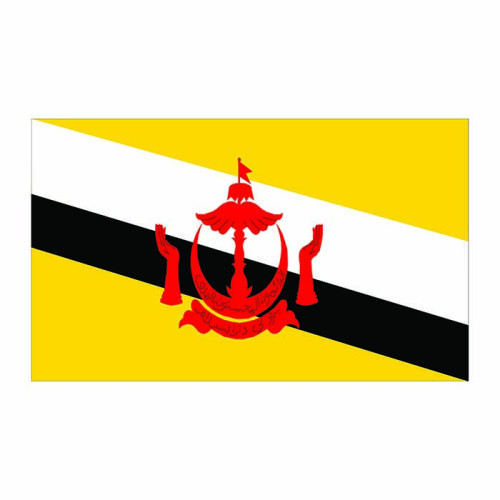 Brunei Flag Cardboard Cutout