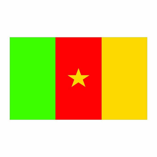 Cameroon Flag Cardboard Cutout