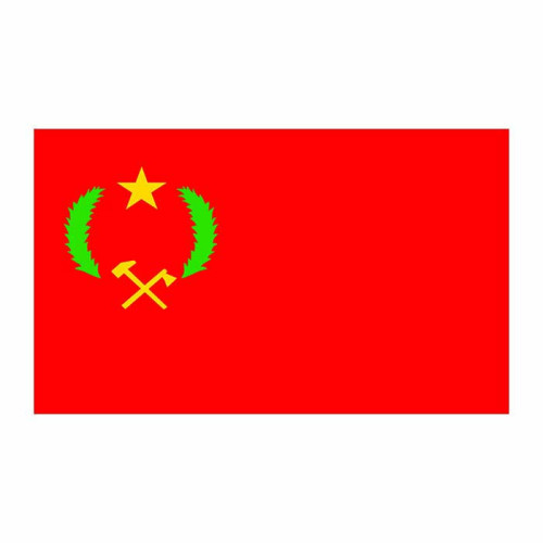 Congo Flag Cardboard Cutout