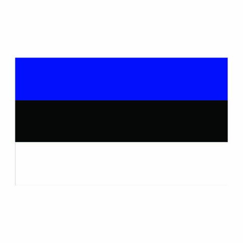 Estonia Flag Cardboard Cutout Estonia Flag Cardboard Cutout