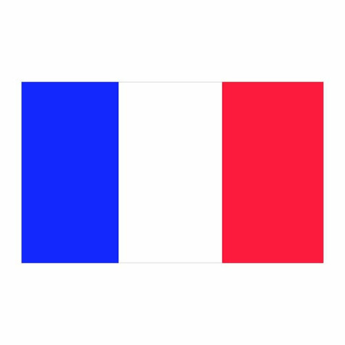 France Flag Cardboard Cutout France Flag Cardboard Cutout