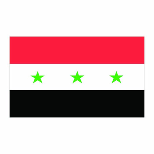 Iraq Flag Cardboard Cutout