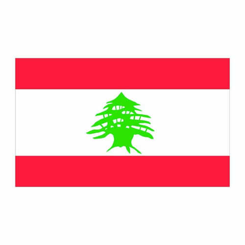 Lebanon Flag Cardboard Cutout