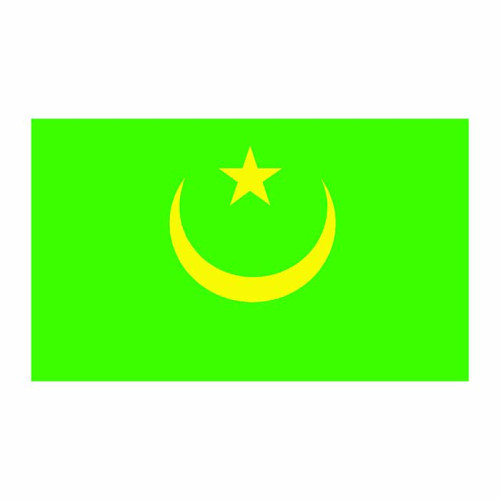 Mauritania Flag Cardboard Cutout Mauritania Flag Cardboard Cutout