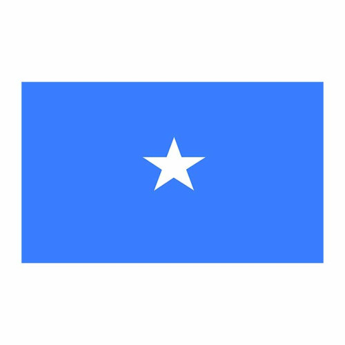 Somalia Flag Cardboard Cutout