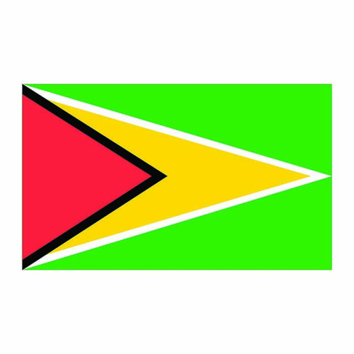 Guyana Flag Cardboard Cutout Guyana Flag Cardboard Cutout