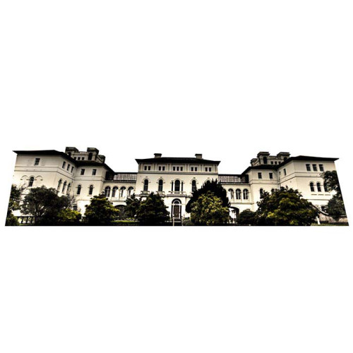 Ararat Lunatic Asylum Cardboard Cutout