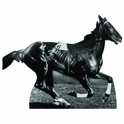 Phar Lap Cardboard Cutout