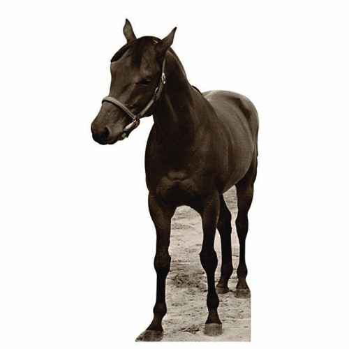 Seabiscuit Cardboard Cutout