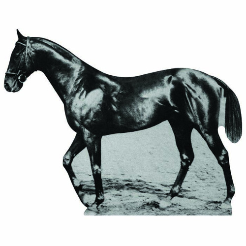 War Admiral Cardboard Cutout