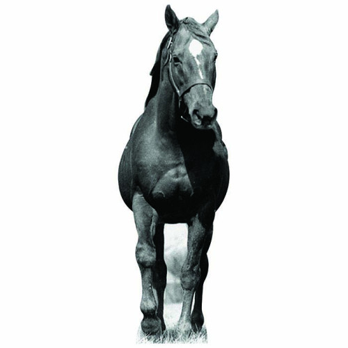 Man O War Cardboard Cutout Man O War Cardboard Cutout