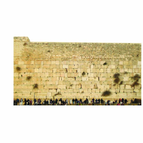 Wailing Wall Cardboard Cutout 