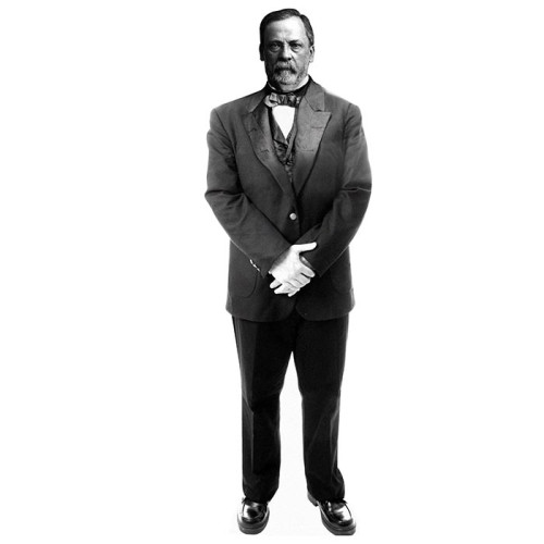 Louis Pasteur Cardboard Cutout Louis Pasteur Cardboard Cutout