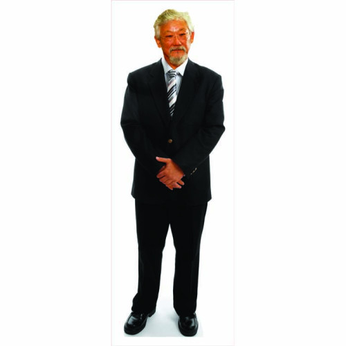 David Suzuki Cardboard Cutout  David Suzuki Cardboard Cutout