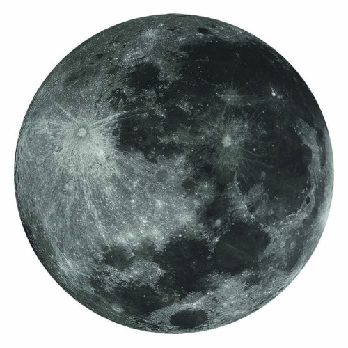 Moon Cardboard Cutout Moon Cardboard Cutout