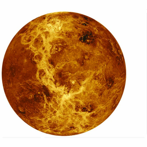 Venus Cardboard Cutout