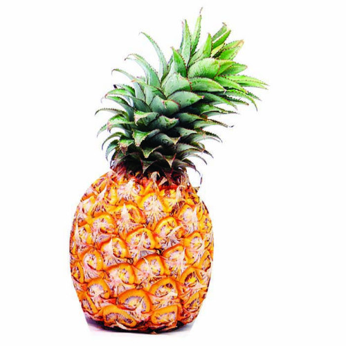 Tan Pineapple Cardboard Cutout