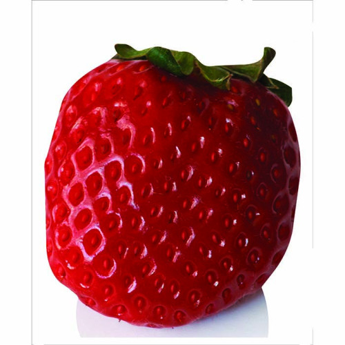 Round Strawberry Cardboard Cutout