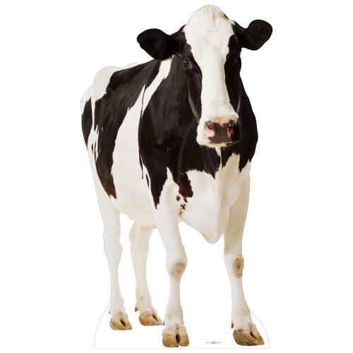 Cow Cardboard Cutout Cow Cardboard Cutout