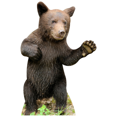 Bear Cub Cardboard Cutout Bear Cub Cardboard Cutout