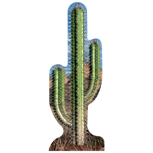 Cactus Cardboard Cutout Cactus Cardboard Cutout