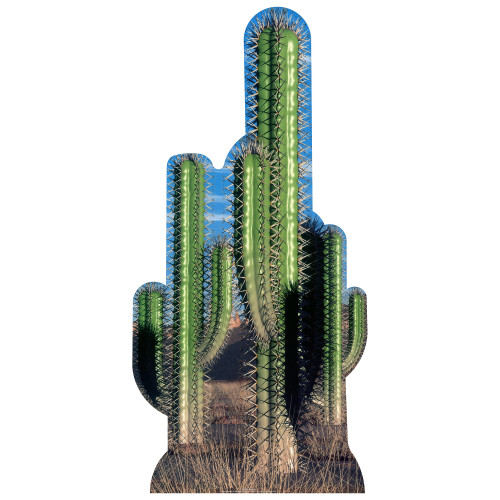 Cactus Group Cardboard Cutout Cactus Group Cardboard Cutout