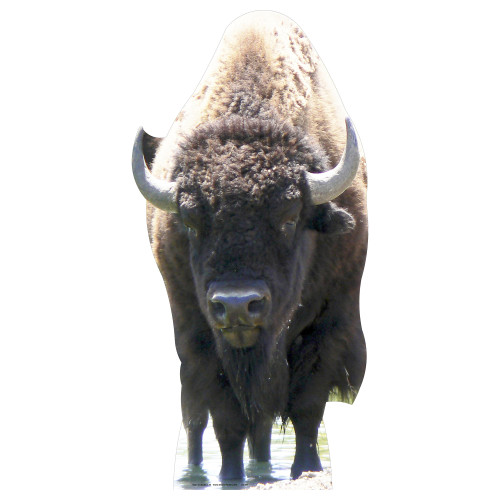 Buffalo Cardboard Cutout Buffalo Cardboard Cutout