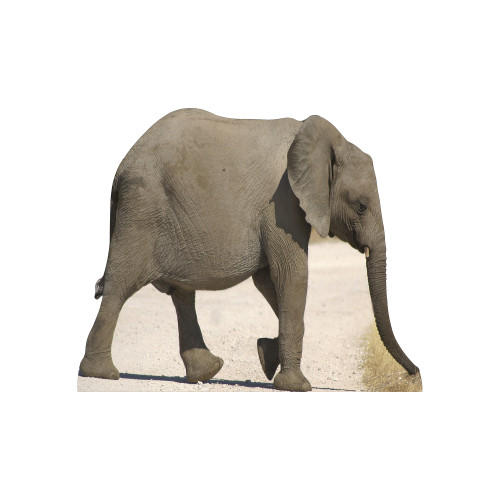 Baby Elephant Cardboard Cutout Baby Elephant Cardboard Cutout