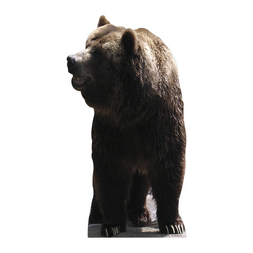 Bear Cardboard Cutout Bear Cardboard Cutout