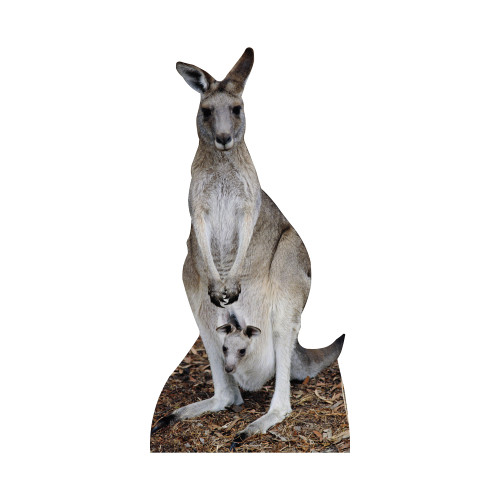 Kangaroo Cardboard Cutout Standee Standup